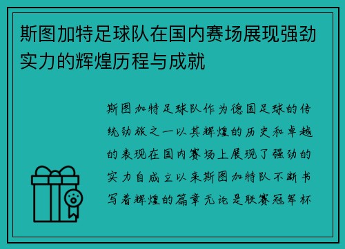 斯图加特足球队在国内赛场展现强劲实力的辉煌历程与成就
