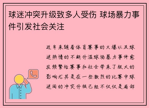 球迷冲突升级致多人受伤 球场暴力事件引发社会关注